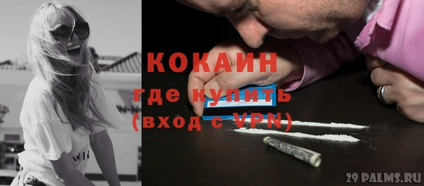 прущие грибы Пестово